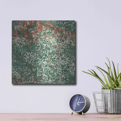 Luxe Metal Art 'Earth as Art: Garden City' Metal Wall Art,12x12