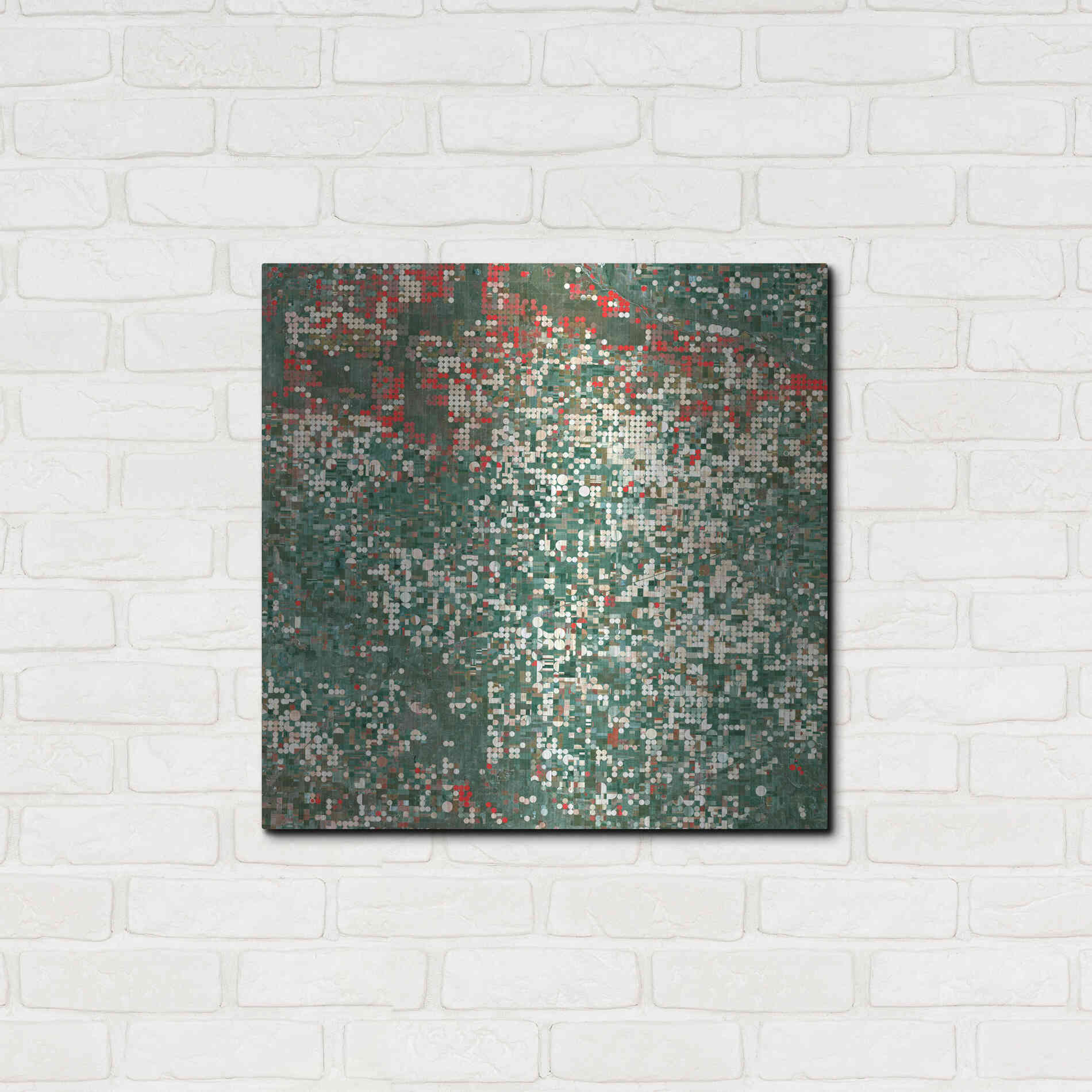 Luxe Metal Art 'Earth as Art: Garden City' Metal Wall Art,24x24