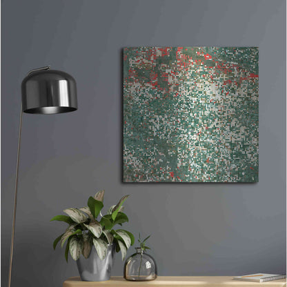 Luxe Metal Art 'Earth as Art: Garden City' Metal Wall Art,24x24