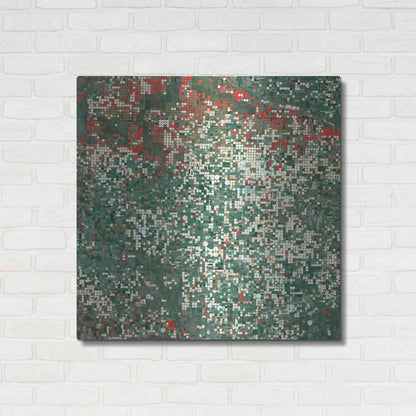 Luxe Metal Art 'Earth as Art: Garden City' Metal Wall Art,36x36