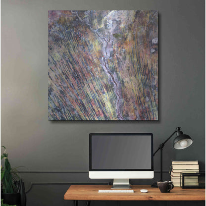 Luxe Metal Art 'Earth as Art: The Optimist' Metal Wall Art,36x36