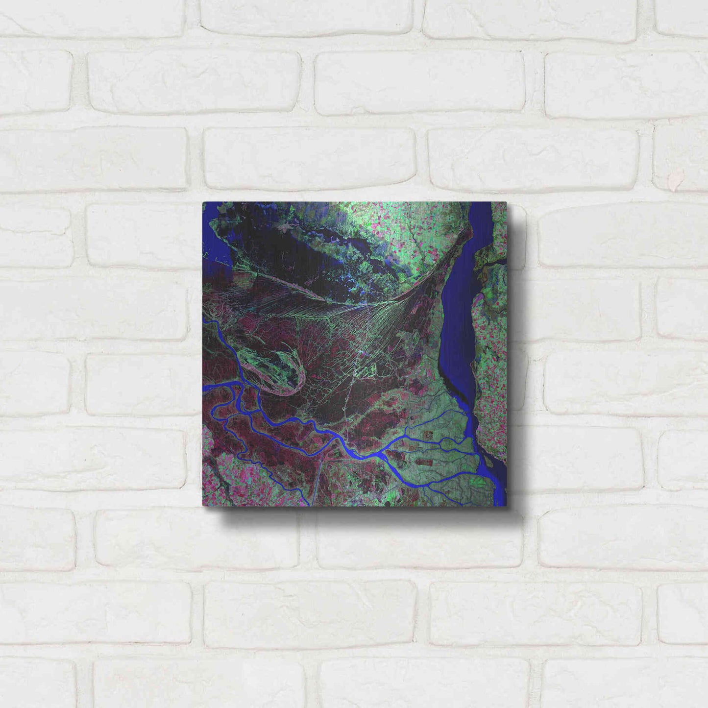 Luxe Metal Art 'Earth as Art: Parana River Delta' Metal Wall Art,12x12