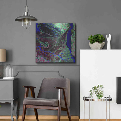 Luxe Metal Art 'Earth as Art: Parana River Delta' Metal Wall Art,24x24