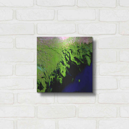 Luxe Metal Art 'Earth as Art: Volga River Delta' Metal Wall Art,12x12