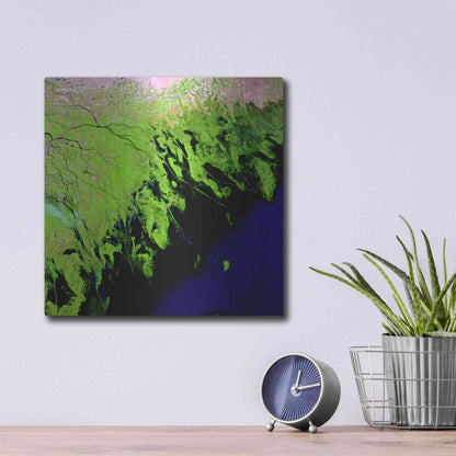 Luxe Metal Art 'Earth as Art: Volga River Delta' Metal Wall Art,12x12