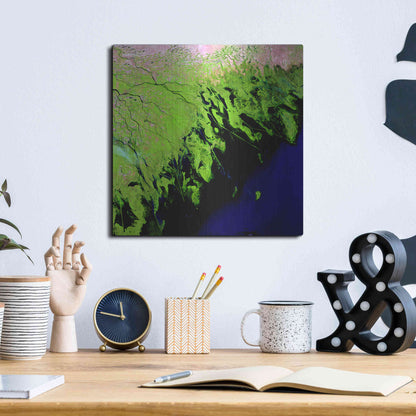 Luxe Metal Art 'Earth as Art: Volga River Delta' Metal Wall Art,12x12