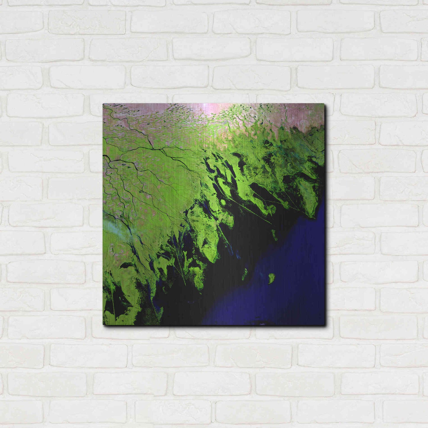Luxe Metal Art 'Earth as Art: Volga River Delta' Metal Wall Art,24x24