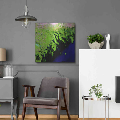 Luxe Metal Art 'Earth as Art: Volga River Delta' Metal Wall Art,24x24