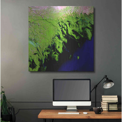 Luxe Metal Art 'Earth as Art: Volga River Delta' Metal Wall Art,36x36