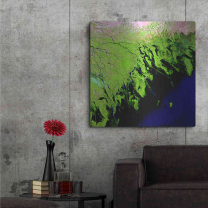 Luxe Metal Art 'Earth as Art: Volga River Delta' Metal Wall Art,36x36
