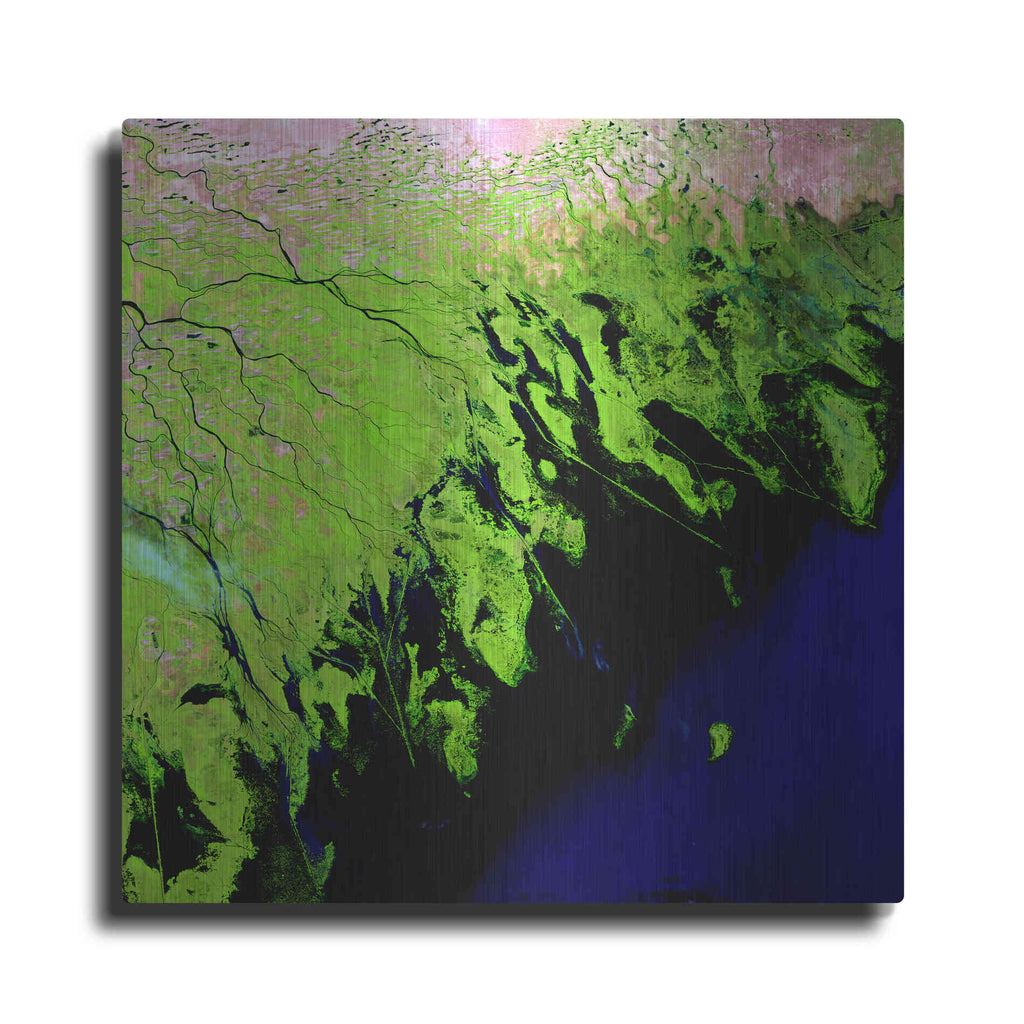 Luxe Metal Art 'Earth as Art: Volga River Delta' Metal Wall Art