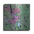 Luxe Metal Art 'Earth as Art: Yellowknife Wetlands' Metal Wall Art