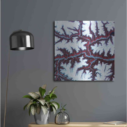 Luxe Metal Art 'Earth as Art: Himalayas' Metal Wall Art,24x24