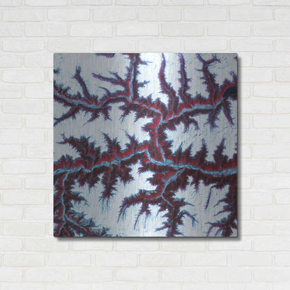 Luxe Metal Art 'Earth as Art: Himalayas' Metal Wall Art,36x36