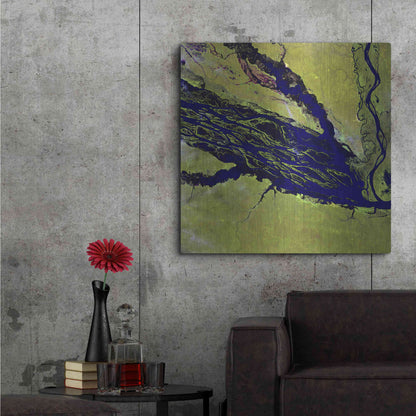 Luxe Metal Art 'Earth as Art: Jau Park' Metal Wall Art,36x36