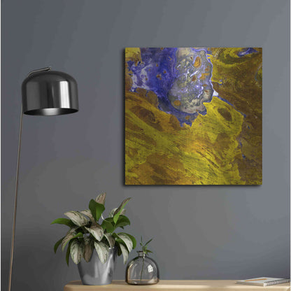 Luxe Metal Art 'Earth as Art: Lake Disappointment' Metal Wall Art,24x24