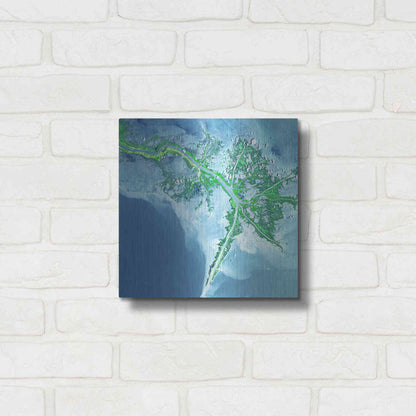 Luxe Metal Art 'Earth as Art: Mississippi River Delta' Metal Wall Art,12x12