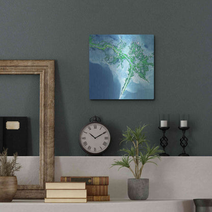 Luxe Metal Art 'Earth as Art: Mississippi River Delta' Metal Wall Art,12x12