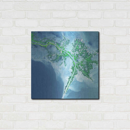 Luxe Metal Art 'Earth as Art: Mississippi River Delta' Metal Wall Art,24x24