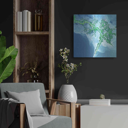 Luxe Metal Art 'Earth as Art: Mississippi River Delta' Metal Wall Art,24x24