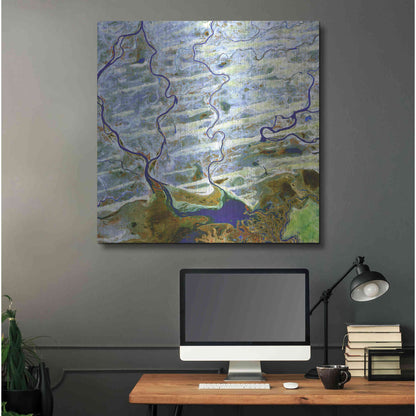Luxe Metal Art 'Earth as Art: Niger River' Metal Wall Art,36x36