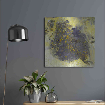 Luxe Metal Art 'Earth as Art: Pinacate Volcano' Metal Wall Art,24x24