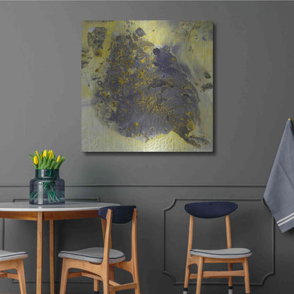 Luxe Metal Art 'Earth as Art: Pinacate Volcano' Metal Wall Art,36x36