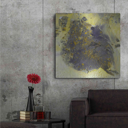 Luxe Metal Art 'Earth as Art: Pinacate Volcano' Metal Wall Art,36x36