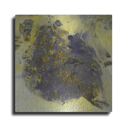 Luxe Metal Art 'Earth as Art: Pinacate Volcano' Metal Wall Art