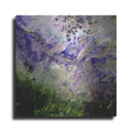 Luxe Metal Art 'Earth as Art: Desert to Forest,' Metal Wall Art