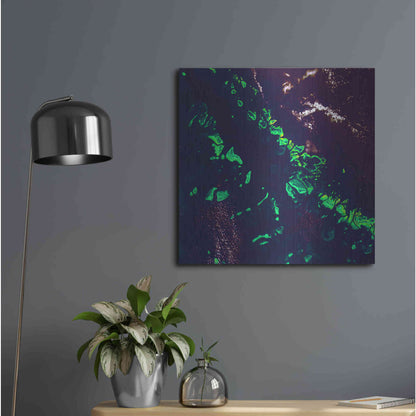 Luxe Metal Art 'Earth as Art: Great Barrier Reef,' Metal Wall Art,24x24