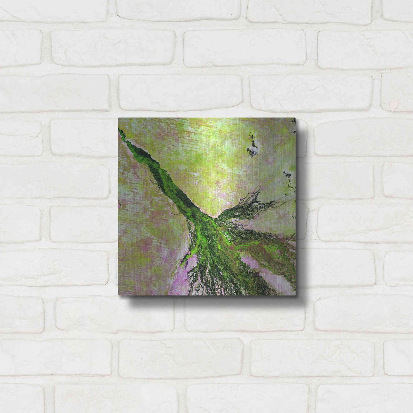 Luxe Metal Art 'Earth as Art: Okavango Delta,' Metal Wall Art,12x12