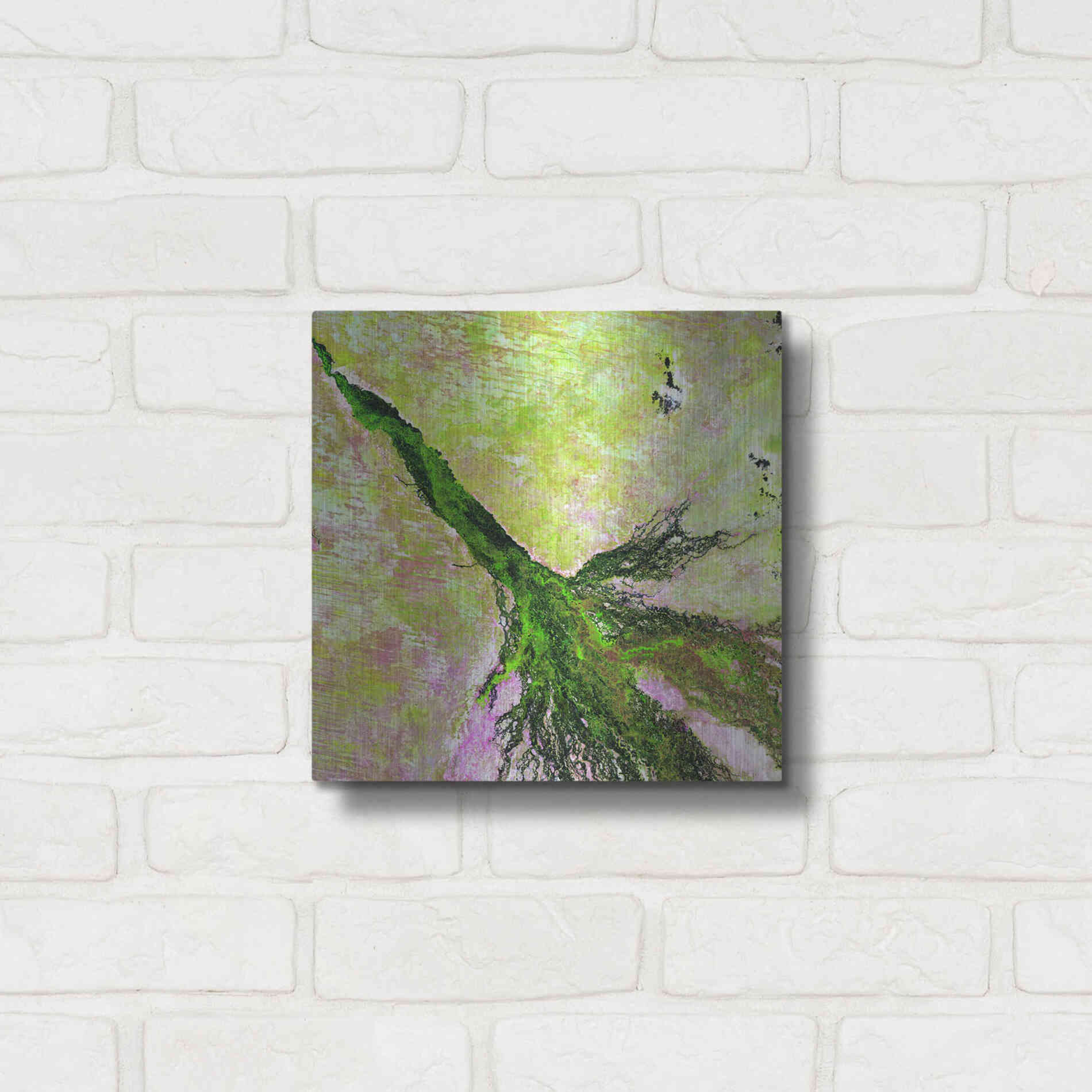 Luxe Metal Art 'Earth as Art: Okavango Delta,' Metal Wall Art,12x12