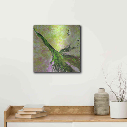Luxe Metal Art 'Earth as Art: Okavango Delta,' Metal Wall Art,12x12