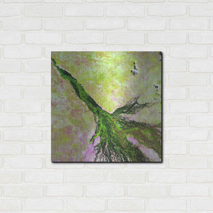 Luxe Metal Art 'Earth as Art: Okavango Delta,' Metal Wall Art,24x24