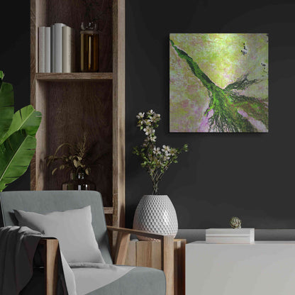 Luxe Metal Art 'Earth as Art: Okavango Delta,' Metal Wall Art,24x24