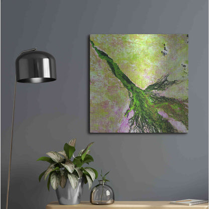 Luxe Metal Art 'Earth as Art: Okavango Delta,' Metal Wall Art,24x24