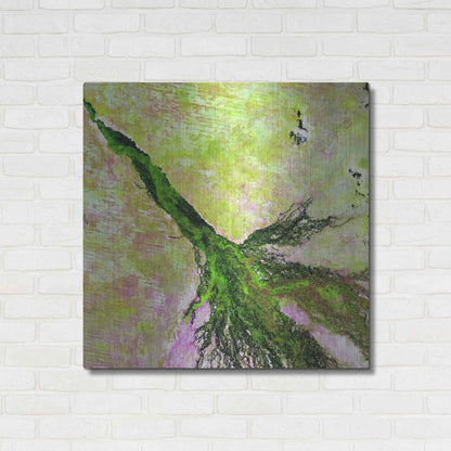Luxe Metal Art 'Earth as Art: Okavango Delta,' Metal Wall Art,36x36