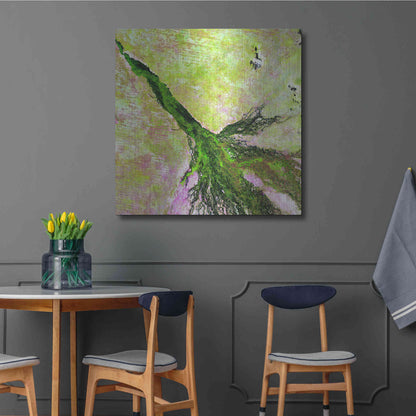 Luxe Metal Art 'Earth as Art: Okavango Delta,' Metal Wall Art,36x36