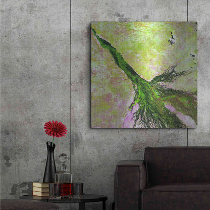 Luxe Metal Art 'Earth as Art: Okavango Delta,' Metal Wall Art,36x36