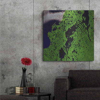 Luxe Metal Art 'Earth as Art: Remote Tundra,' Metal Wall Art,36x36