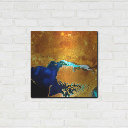 Luxe Metal Art 'Earth as Art: The Dardzha Monster,' Metal Wall Art,24x24