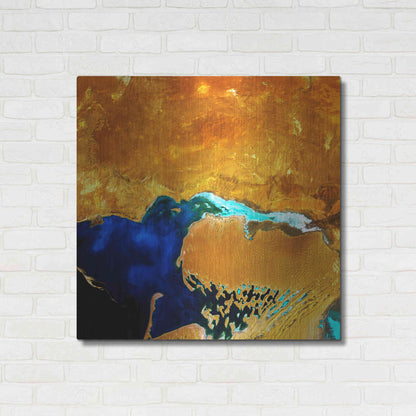 Luxe Metal Art 'Earth as Art: The Dardzha Monster,' Metal Wall Art,36x36