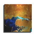 Luxe Metal Art 'Earth as Art: The Dardzha Monster,' Metal Wall Art