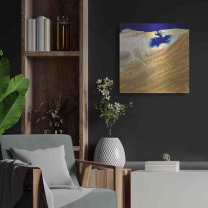 Luxe Metal Art 'Earth as Art: Ink Stain,' Metal Wall Art,24x24