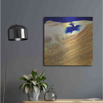 Luxe Metal Art 'Earth as Art: Ink Stain,' Metal Wall Art,24x24