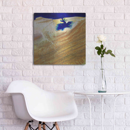 Luxe Metal Art 'Earth as Art: Ink Stain,' Metal Wall Art,24x24