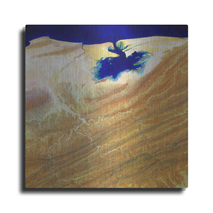 Luxe Metal Art 'Earth as Art: Ink Stain,' Metal Wall Art