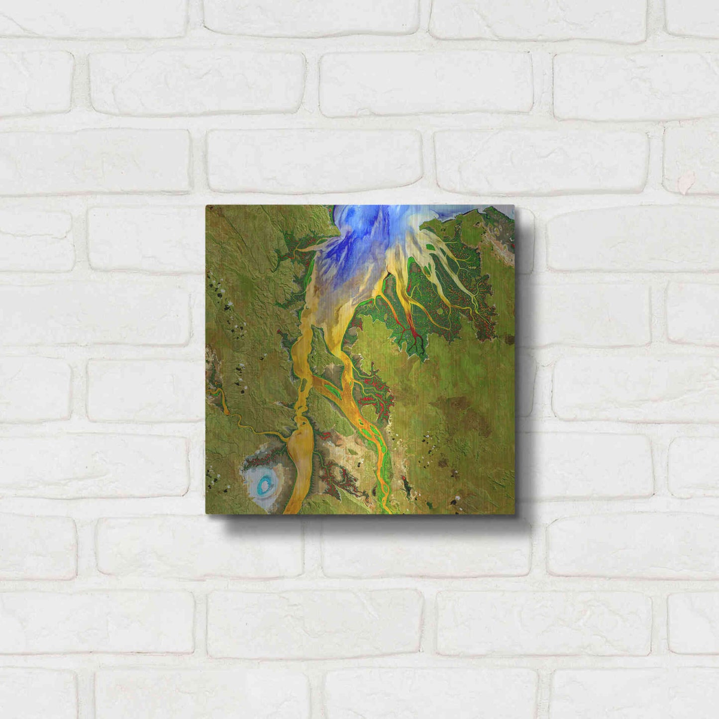 Luxe Metal Art 'Earth as Art: Nature's Patterns,' Metal Wall Art,12x12