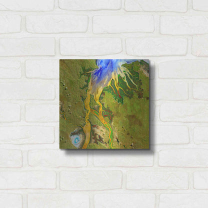 Luxe Metal Art 'Earth as Art: Nature's Patterns,' Metal Wall Art,12x12